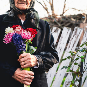 Viharsarki emlék (A kezdet kezdete)