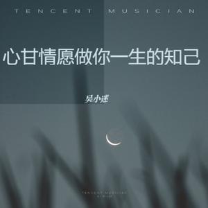 心甘情愿做你一生的知己