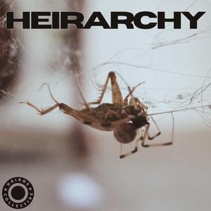 Hierarchy