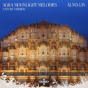 Agra Moonlight Melodies (Nature) (feat. Sensory Meditation, Jasper Whisper, Randy Divine, Nina Nalo & Flame Timo)
