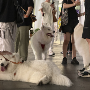 瘦子（翻唱）.wav