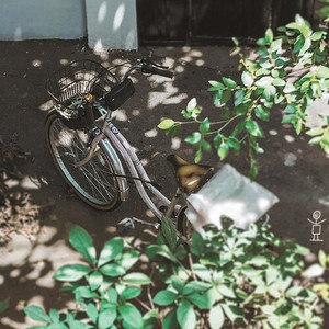 어느 바람 솔솔 부는 여름날