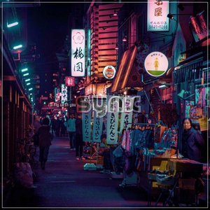 I'll Fly With You (Synx Remix)