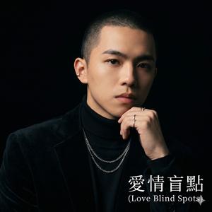 愛情盲點 (Love Blind Spots)