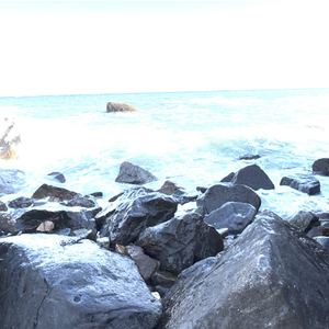 《放手的星光》