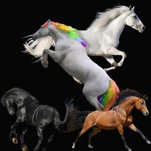 Hors D'oeuvres (feat. RokHowz, ED Wrd & Dreis Major)