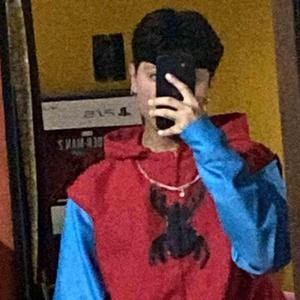 Inconclus (feat. D4RK)