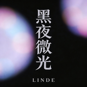 黑夜微光
