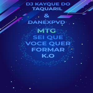 QUER FORMAR K.O X MEU MALVADO FAVORITO (feat. Dj Kayque do Taquaril, Mc Roge & Mc Beatriz)