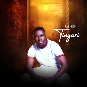 TINGARI