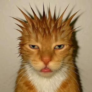 坠落【FREE】Cortis Rage 地下 小众 炫酷 Beat