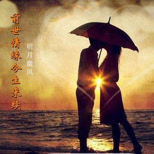 前世缘今生来续