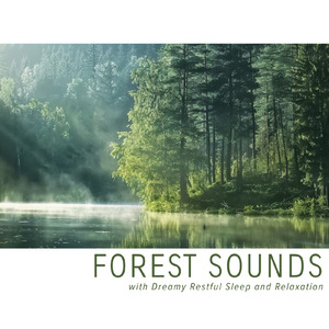 α波を刺激するゆらぎギター 睡眠導入の癒しストレス軽減のリラックス音楽 (自律神経を整える睡眠用 森 鳥)