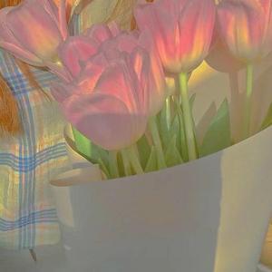 HBD（魚木兆 remix）