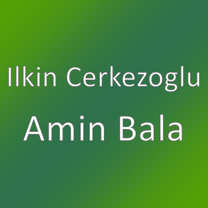 Amin Bala
