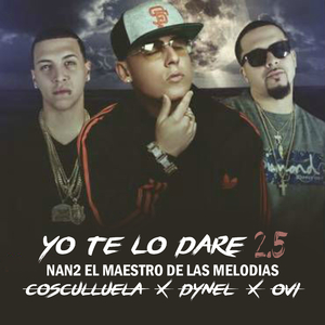 Yo Te Lo Dare 2.5