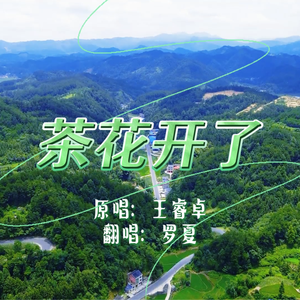 茶花开了（cover：王睿卓）