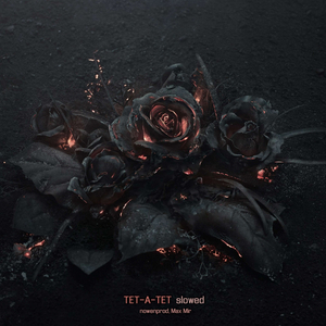 ТЕТ-А-ТЕТ (slowed)