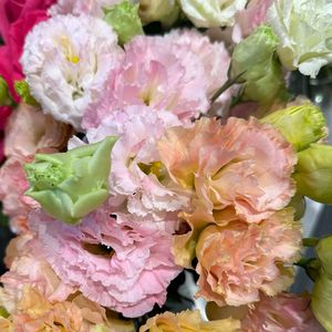 还记得（粤语版）