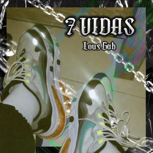 7 VIDAS