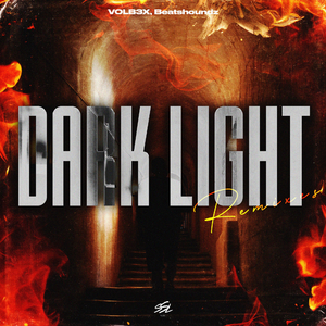 Dark Light (Nickobella Remix)