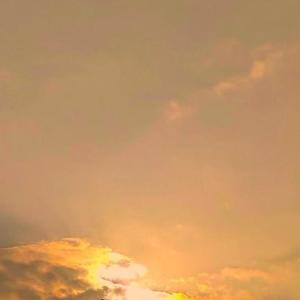 偏偏喜欢你（翻自 陈百强）