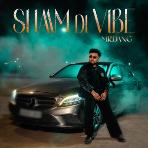 Shaam Di Vibe