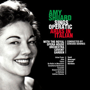 Un Ballo in Maschera, Act III: Morro, ma prima in grazia