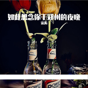 如此想念你于郑州的夜晚