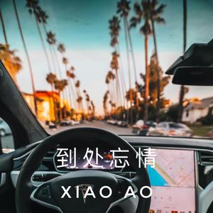 到处忘情
