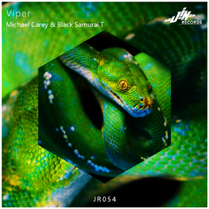 Viper (Original Mix)