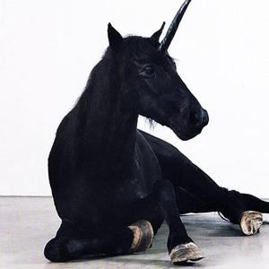 Obsidian Bloom (Instrumental)