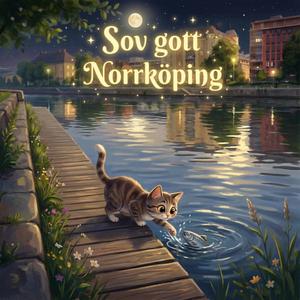 Sov gott Norrköping