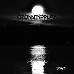 Usva