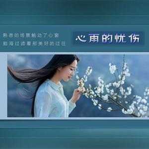 心雨的忧伤【江波】