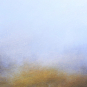 Tamarugo (o la Enredadera)