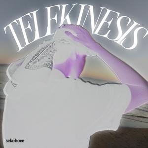 TELEKINESIS (feat. sekoboee)