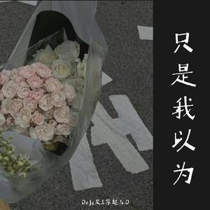 只是我以为（DeJa吴 / 苏超.S.D remix）