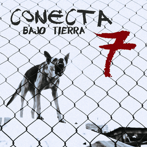 Conecta Bajo Tierra 7