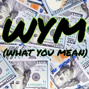 WYM (What You Mean)[Prod. Callan x Zoran]