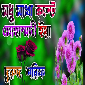 দুরুদ শরিফ মোহাম্মদী ইয়া রাছুল আল্লাহ