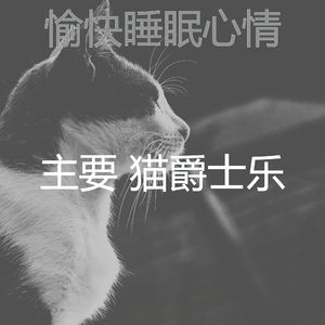 一尘不染小猫印象数
