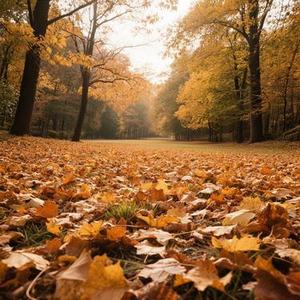 落空 (Cover 印子月)