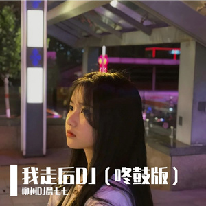 柳州DJ晨七七-我走后DJ（咚鼓版）