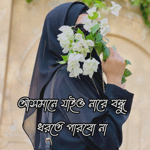 আসমানে যাইও নারে বন্ধু ধরতে পারবো না