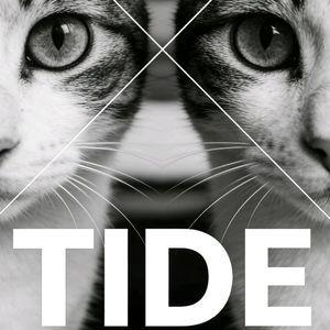 潮の満ち引き（潮）