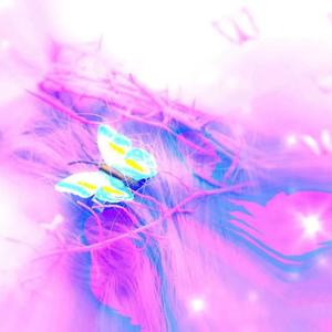 Bury Love（Prod.by 顺赢INKA）