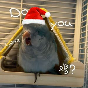 对我的所有人说