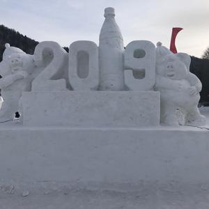 天城小区美如画