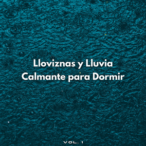 Niebla De La Noche Lluviosa Para La Estimulación Mental